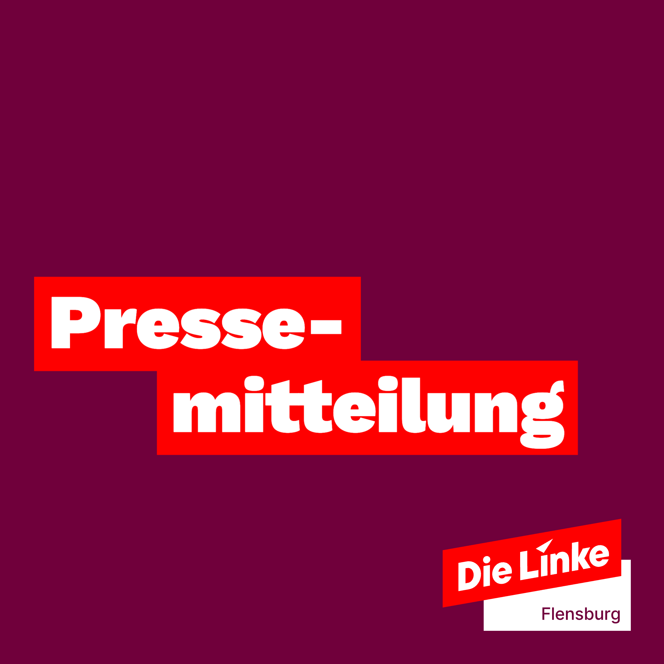 Chaos bei der FSG — Linke fordert Verstaat­li­chung der FSG zur Stabilisierung